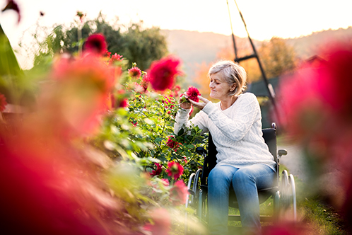 Woman Gardening in wheelchair