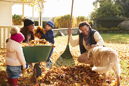 21_Fall_RR_498x332