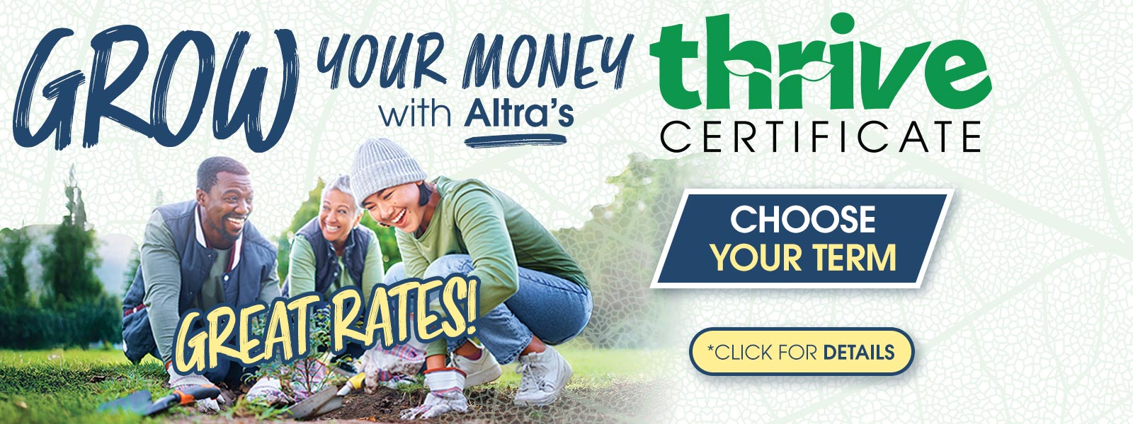 Thrive Certificate