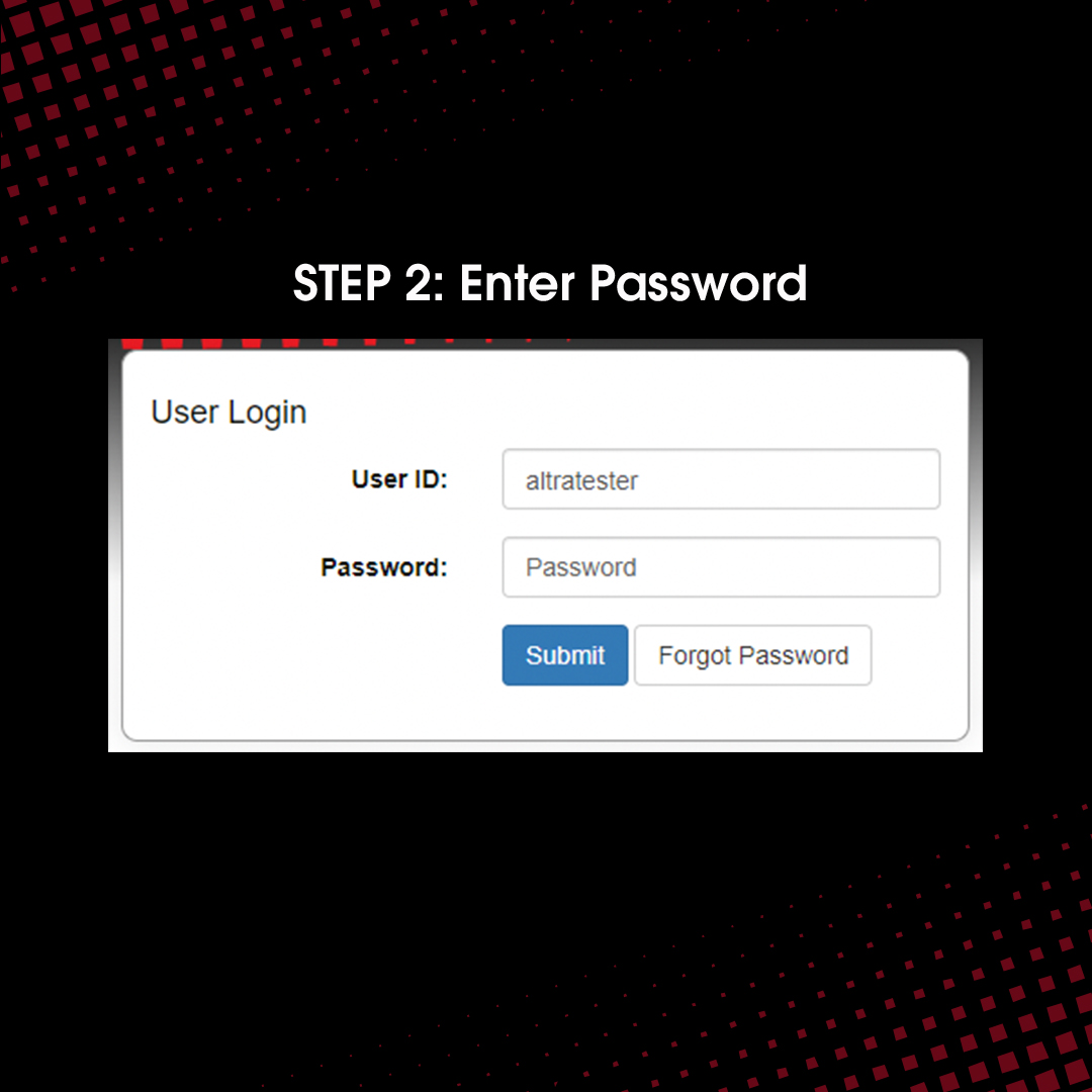 Step 2: Enter Password