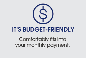 295x200_VDP_Budget It's Budget-Friendly
