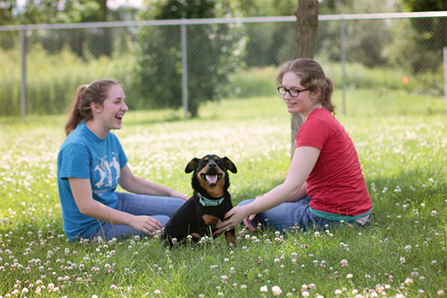 498x332_PeopleDog Humane Society