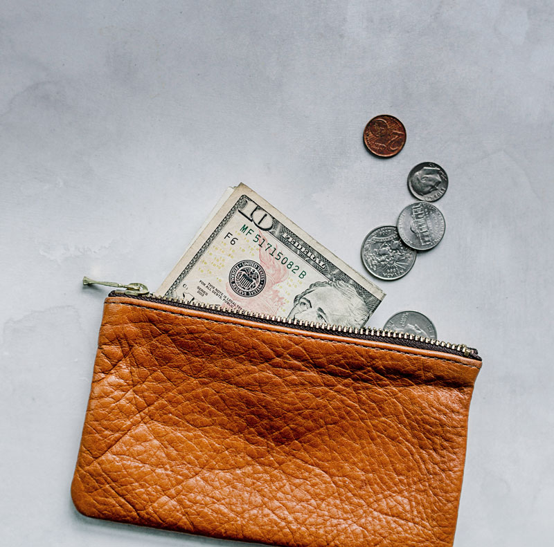 investing-14 money in a purse