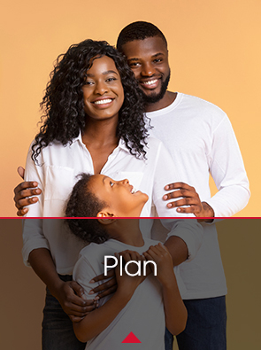 plan text